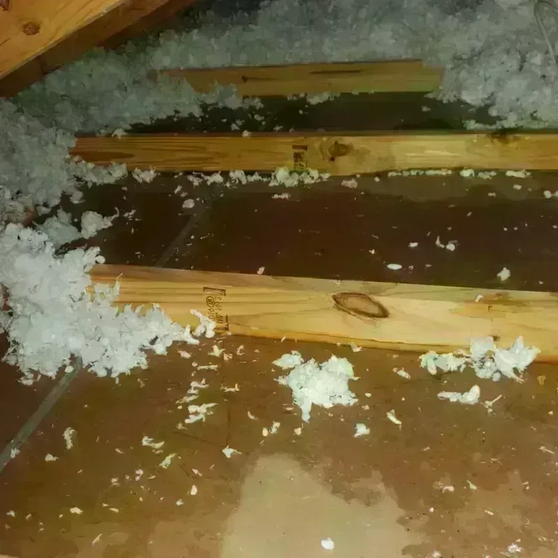 Attic Water Damage in Hawaiian Ocean View, HI